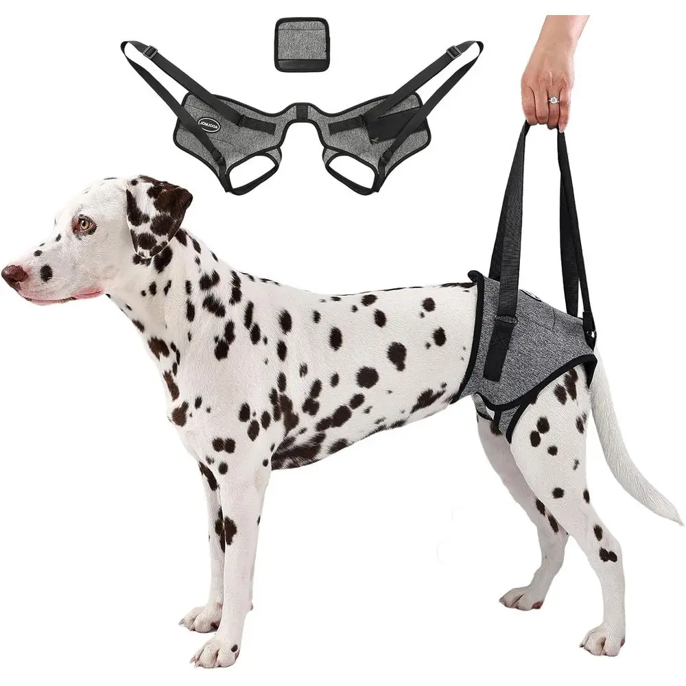 حزام دعم للكلاب الكبيرة ذات الأرجل الخلفية الضعيفة: يساعد على رقعة العضلات وقضايا المفاصل وإعادة التأهيل #1