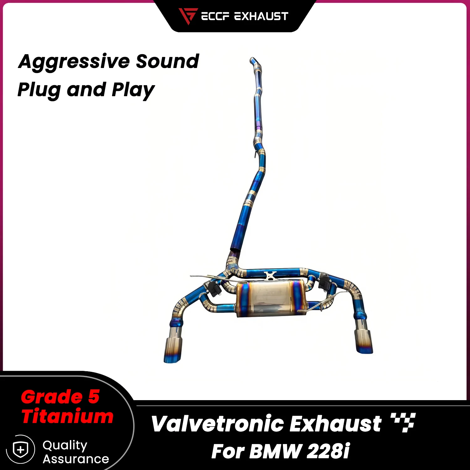 

TItanium Valvetronic Catback Exhaust for BMW 228i Unleash True Exhaust Performance Easy Installation