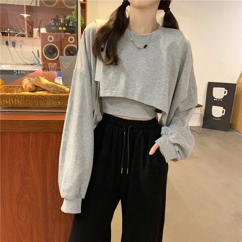 Hip Hop Two-piece Short T Shirts Spring Autumn New Long Sleeve Loose Lazy Style Thin Tops Tees Casual Fashion Women Clothing