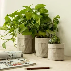 3-Sizes Pot Washable Kraft Paper Flowerpot Creative Desktop Flower Pots Reuseable Succulents Planter Multifunction Storage Bag