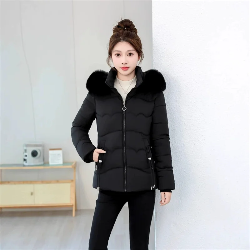 Giacca corta in cotone con cappuccio autunno inverno Cappotti Parka da donna Capispalla caldo antivento Giacca in cotone con collo in pelliccia imbottito tinta unita