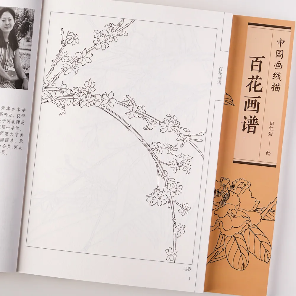 New Chinese Painting Hundred Flowers Line Drawing Collection Art Books Adult Coloring Book Relaxation and Anti-Stress Book