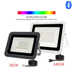 RGB Floodlight intelligent Bluetooth APP Control LED Projector RGBCW 50W 100W 220V AC garden party outdoor lighting LED Spotligh