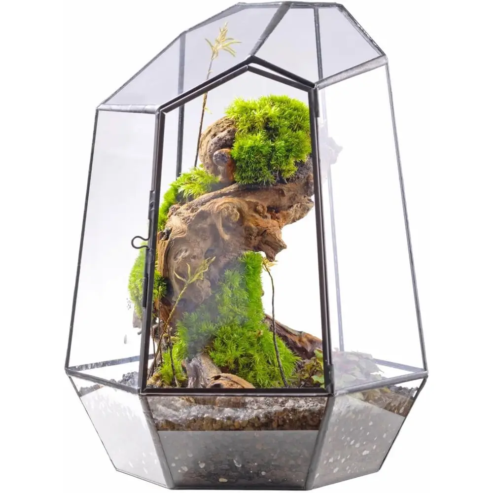 

Геометрический стеклянный террариум с дверцей - высотой 9,8 дюймов, нестандартной формы, для суккулентов, небольших кактусов, современный декор для дома, сада, стола