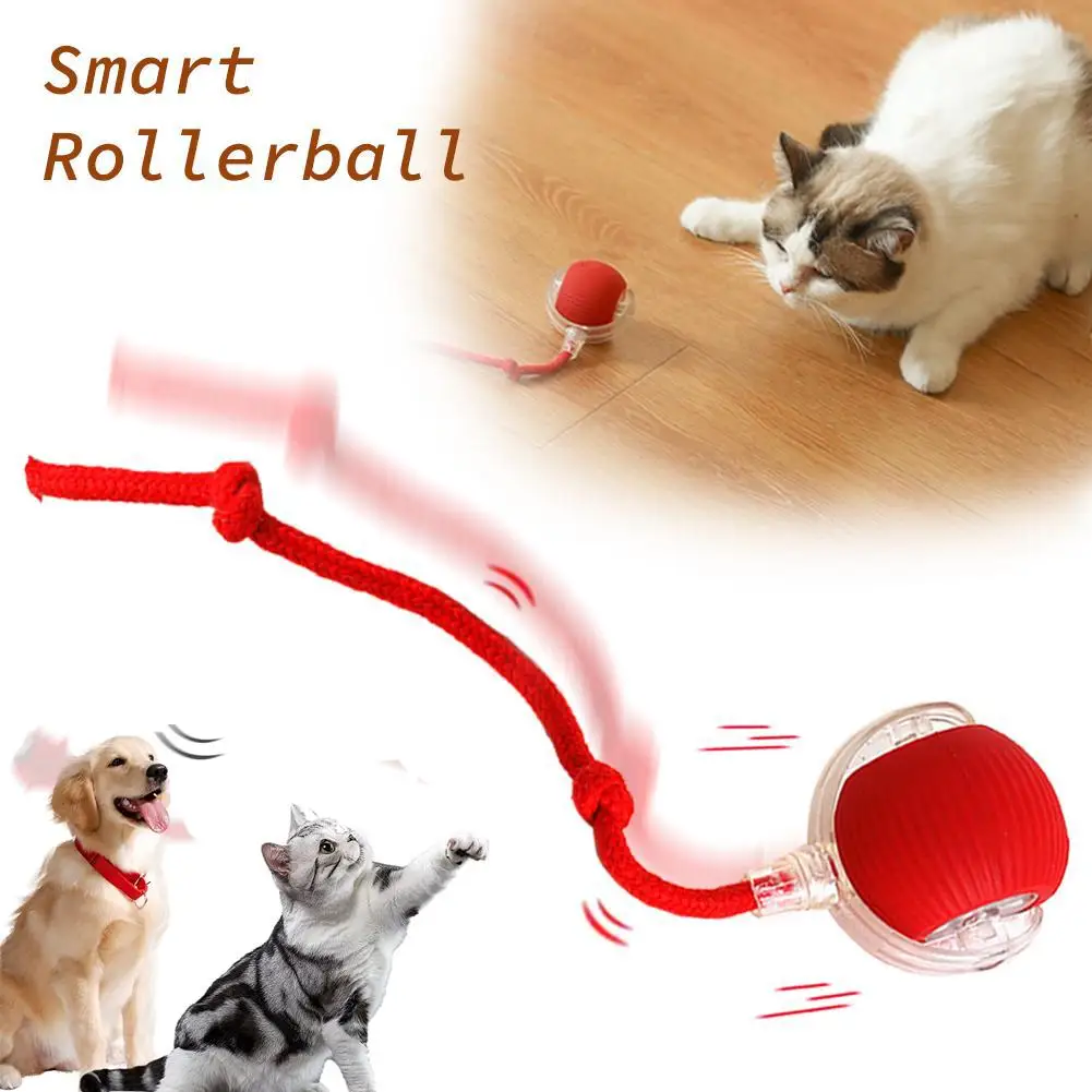 Interactive Cat Toys Wheel Rolling Ball For Cats Electric Indoor Motion Activate Cat Toys Type-C Rechargeable Stimulate Hunting