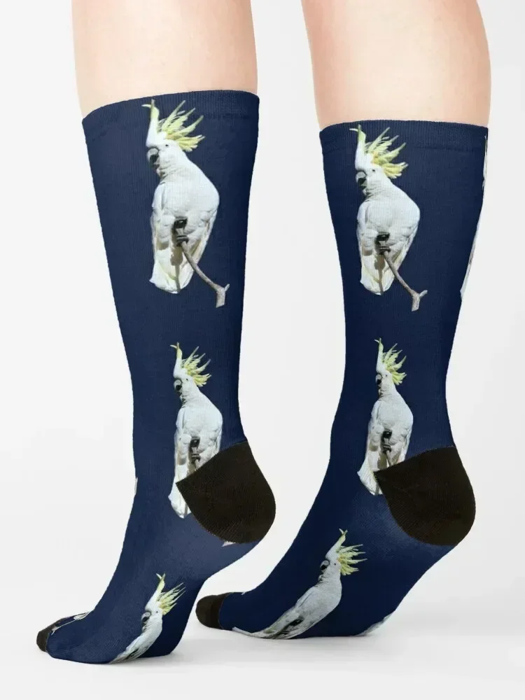 جوارب كوكاتو 2 كريستيد بالكبريت، جوارب هيب هوب للصالة الرياضية، جوارب أرضية للرجال والنساء