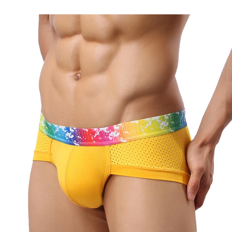 Hot Rainbow Men\'s Underwear Short Modal Mesh Sexy Briefs Breathable Male Gay Underpants Brand Solid Boxer Plus Size Beach Trunks