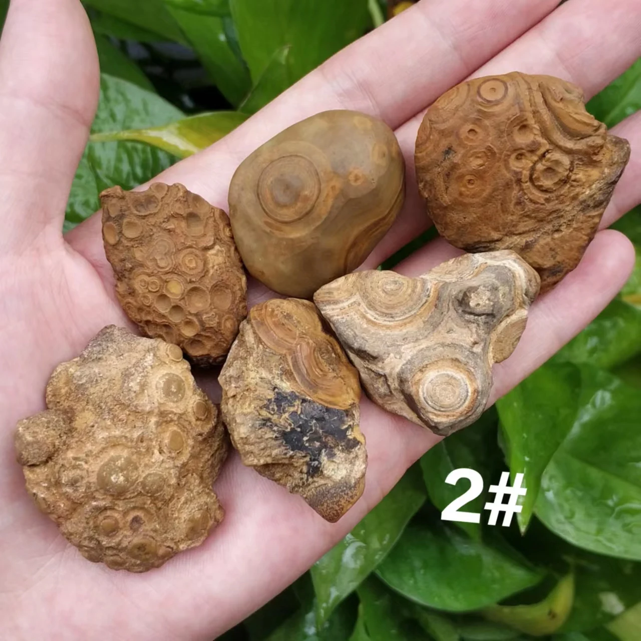 6pcs/lot Natural High Quality large special Rough Stone Nine Eyes Shale meng Dzi Beads khaki irregular shape eye stone wholesale