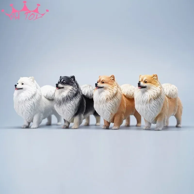 Pomeranian จําลอง JXK 12 นิ้วสุนัขรุ่นประณีตและกะทัดรัดสัตว์เลี้ยงสุนัขรุ่น Figurie พร้อมตุ๊กตาสี่สี