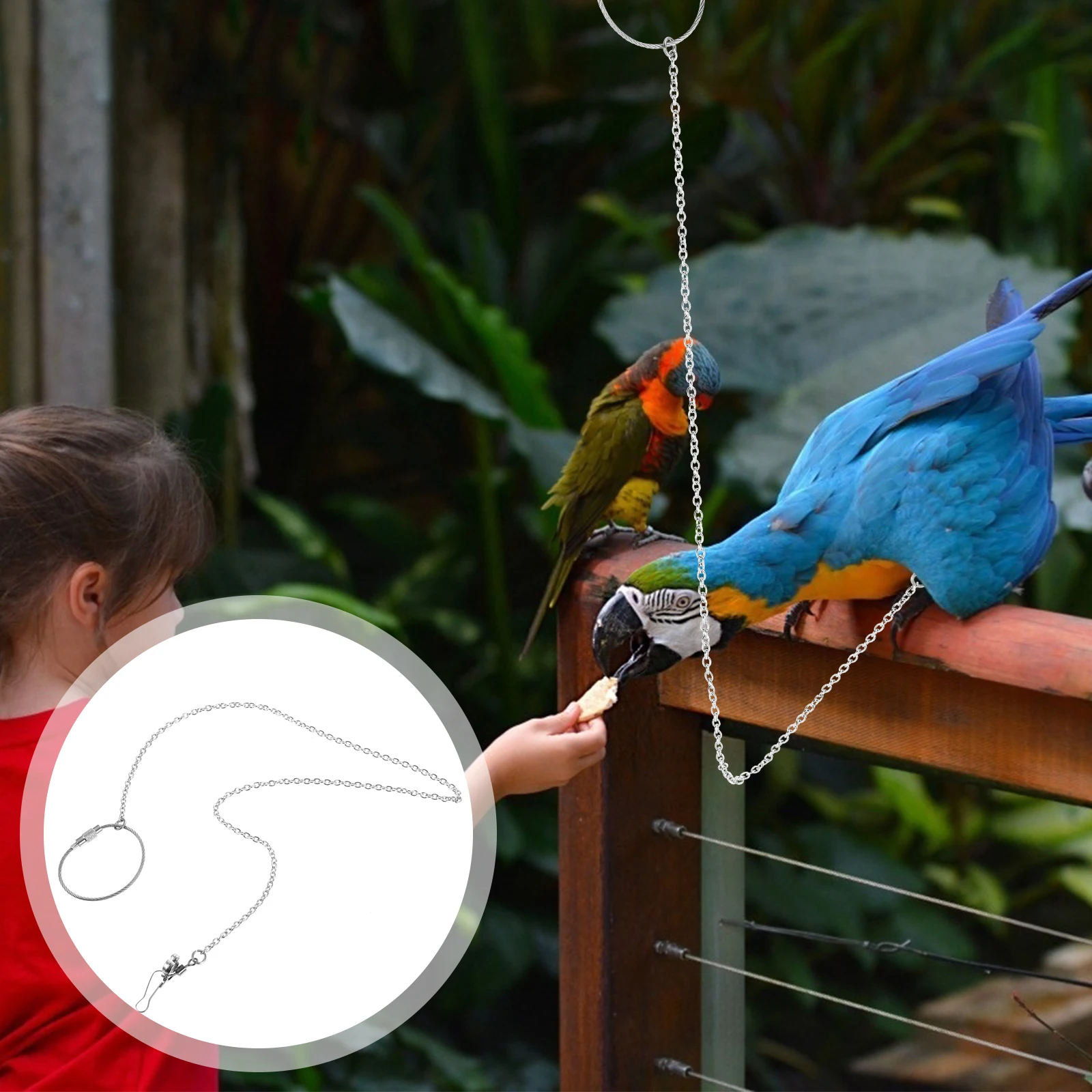 

Stainless Steel Bird Chain Leash Parrot Parakeet Rope Swivel Buckle Wear Resistant Lightweight Large Size For