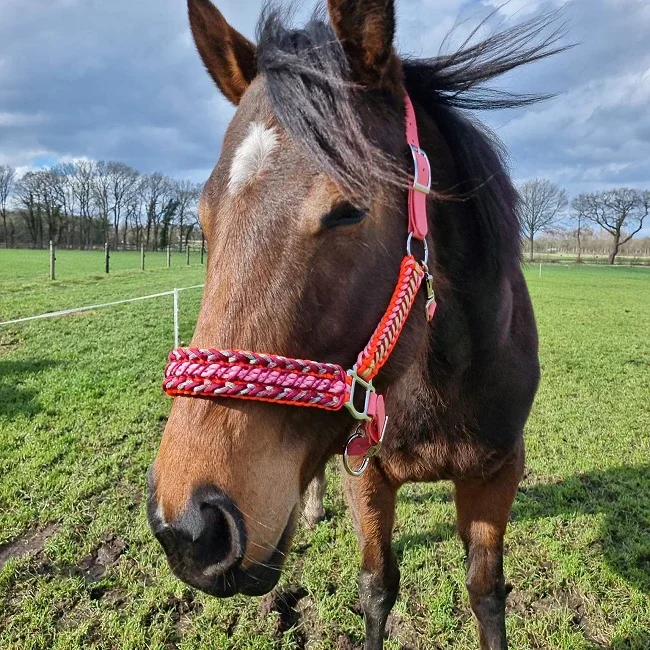 Braided Lead Reins head collar nylon Bridle Hackamore Cotton Paracord rope Leather Horse Tack western Horse Halter Bridle