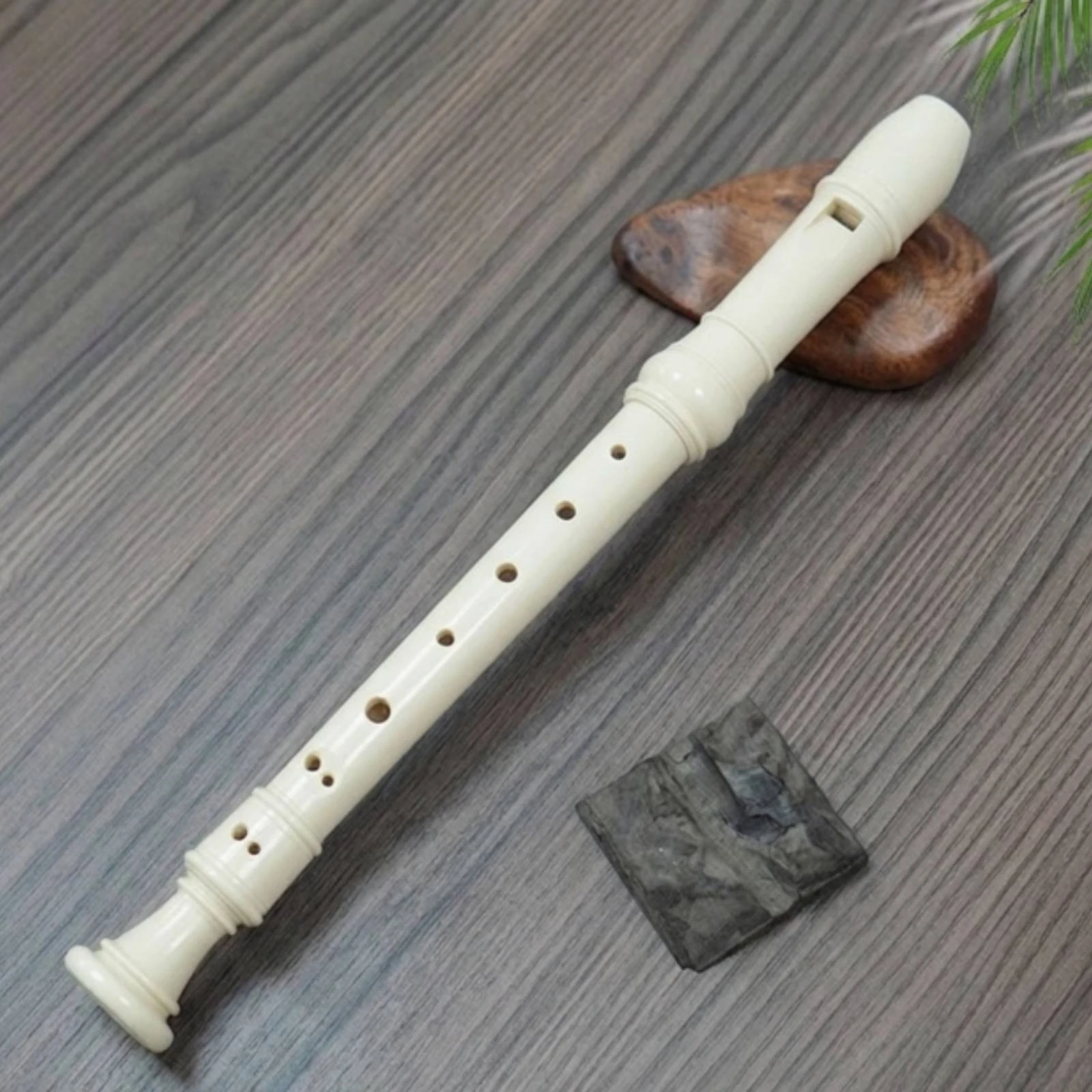 8-Hole Soprano Recorder Beginn - đánh giá và giá Soprano Recorder Plastic