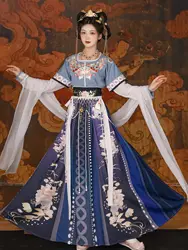 Dunhuang hanfu Chinese Traditional Half-arm Tank Collar Skrit Tang Dynasty Folk Style Spring Cosplay Fairy Hanfu Robe 3 Pieces S