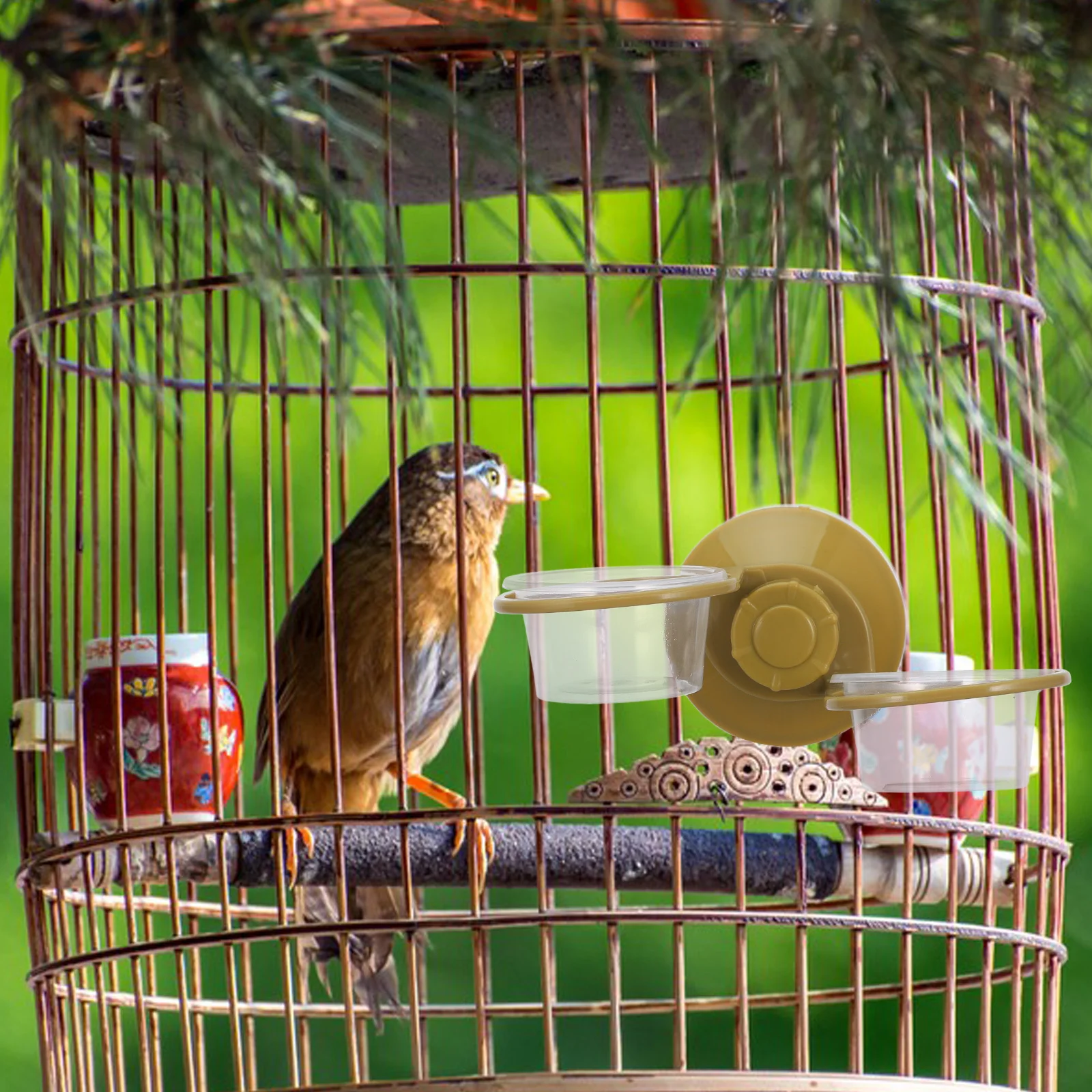 

Hanging Food Water Bowl For Reptiles Durable Plastic Pet Feeding Dish No Spill Cage Accessories Reptile Supply Convenient