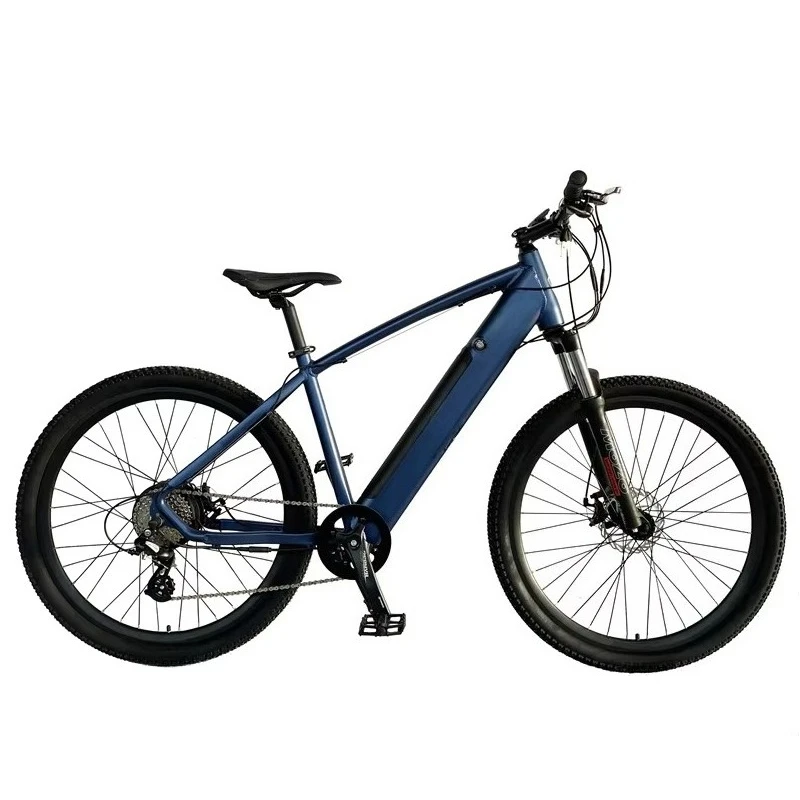 

SXLL Electric bicycle 500w 1000w electric bicycle