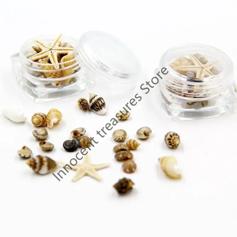 3XUA المحيط شاطئ نجم البحر-الأصداف البحرية الملونة الطبيعية نجم البحر مثالية لديكور الزفاف الشاطئ موضوع حفلة لتقوم بها بنفسك ل #3