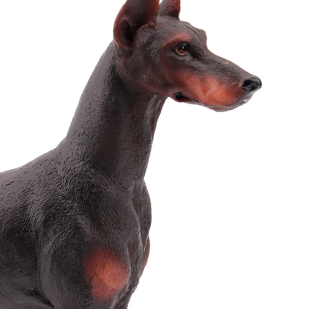 

1pc Simulated Doberman Ornaments Pet Simulation Dobermann Model Toy Figurine Statue Home Office Car Decoration