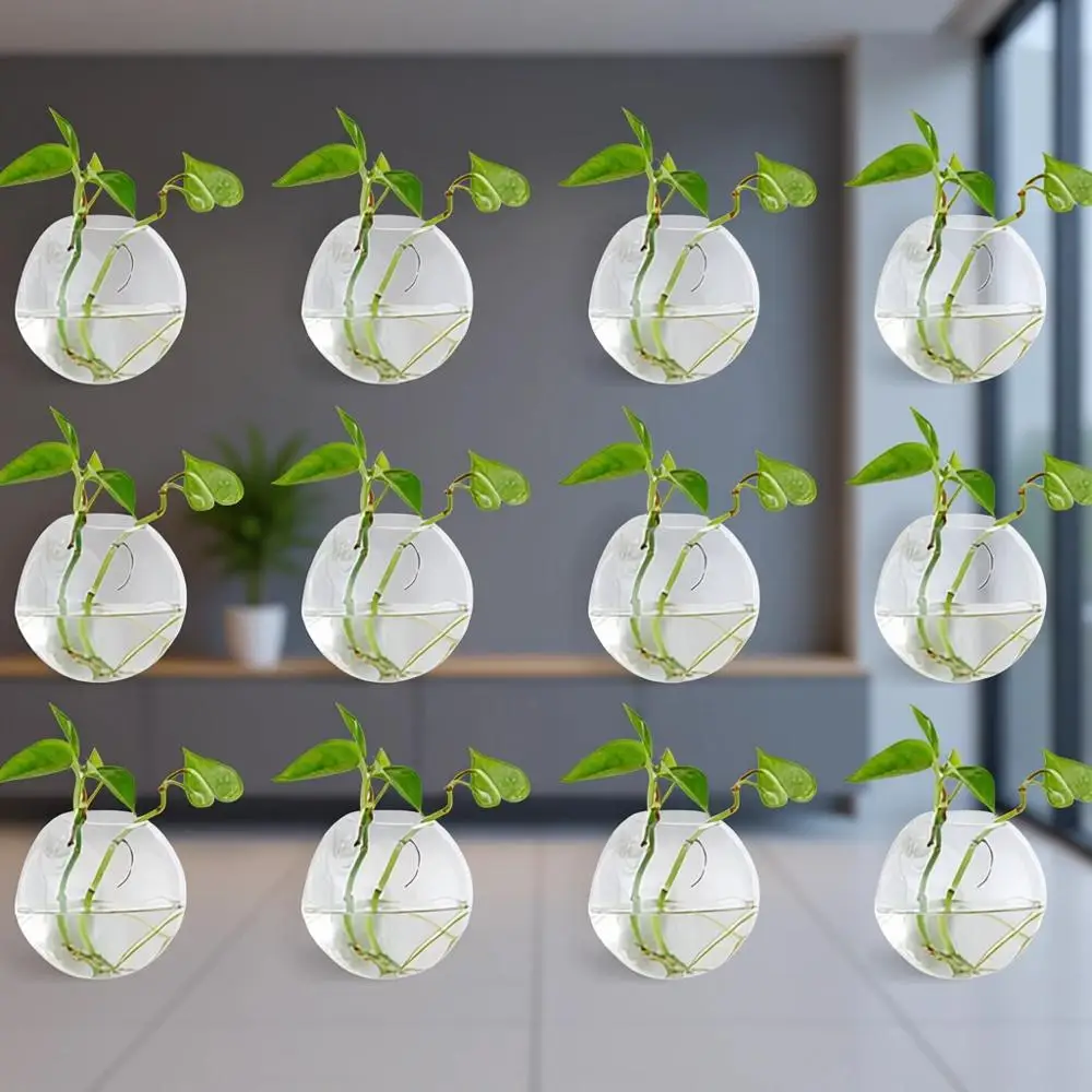 

Set of 12 Transparent Glass Wall-Mounted Planters for Indoor Herb Garden or Living Room Decor
