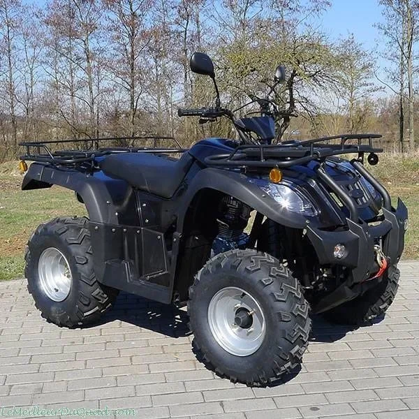 BIG ATV 250cc adult off road tire ATV 4 *2  4 stroke chain ATV Suitable for cross-country