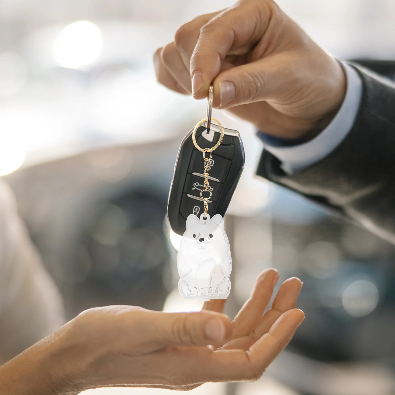 

2Pcs Dog Hair Keepsake Keyring Clear Plastic Puppy Memorial Bottle Portable Pet Hair Collection Organizer Souvenir