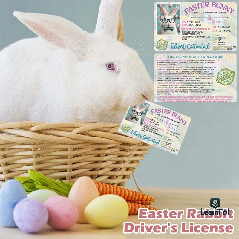 Easter Bunny ID Pass Plate Plastic Bunny Lost Driver's License Easter Rabbit Card For Kids DIY Novelty Easter Decoration
