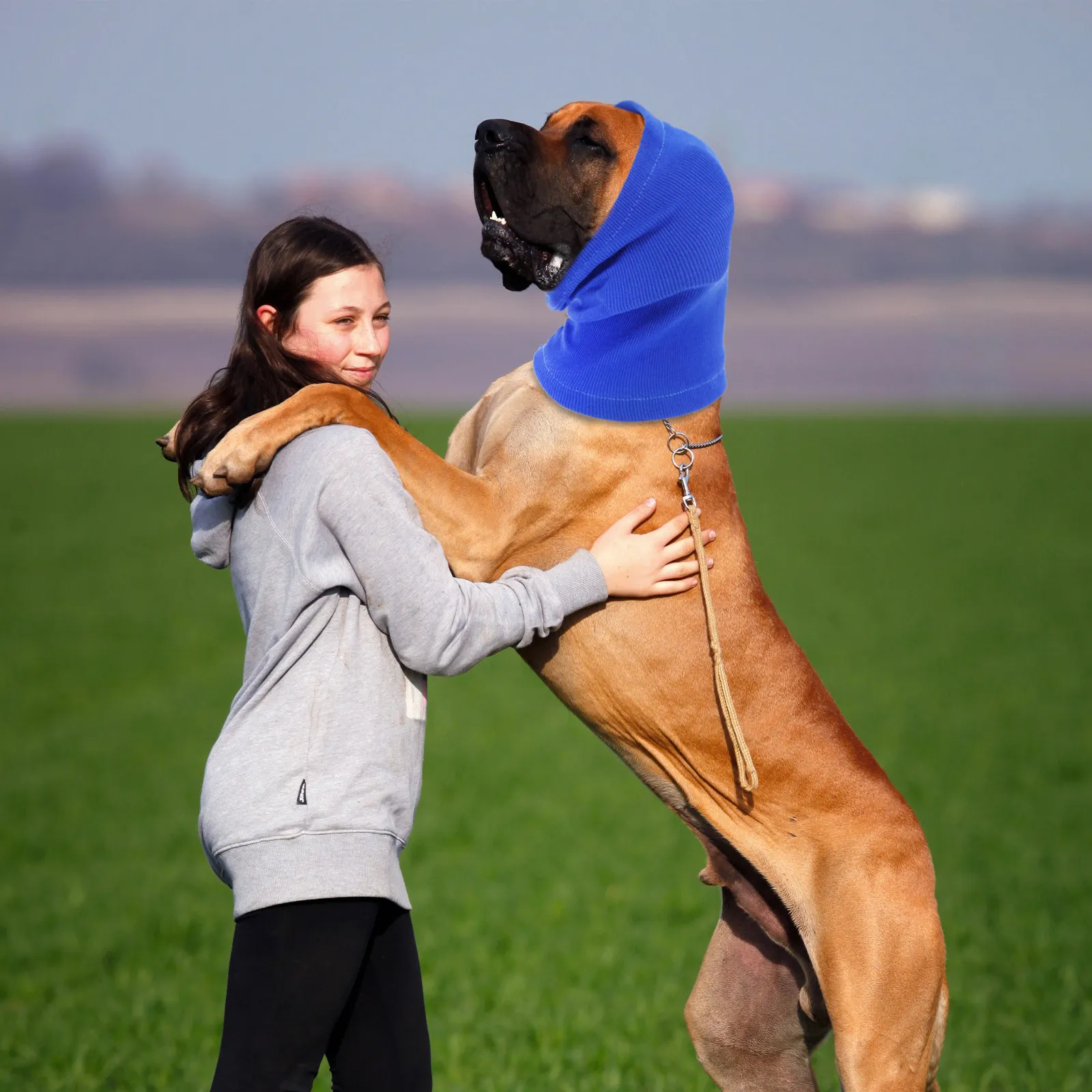 

Защитные наушники для собак от холода: теплые и удобные зимние ушанки для щенков, аксессуар для домашних животных, защита от низких температур