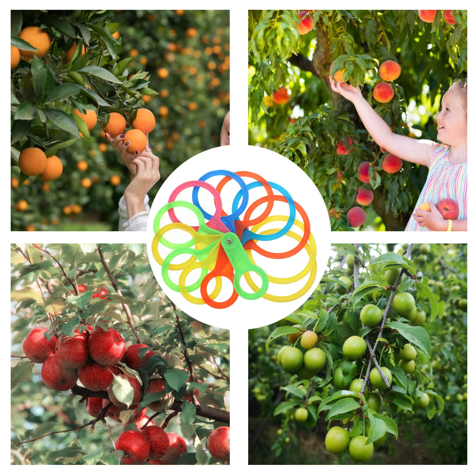 

1Set Plastic Fruits Diameter Measuring Lap Sturdy Measuring Circle Tool for Sorting by Size Farm Garden Use