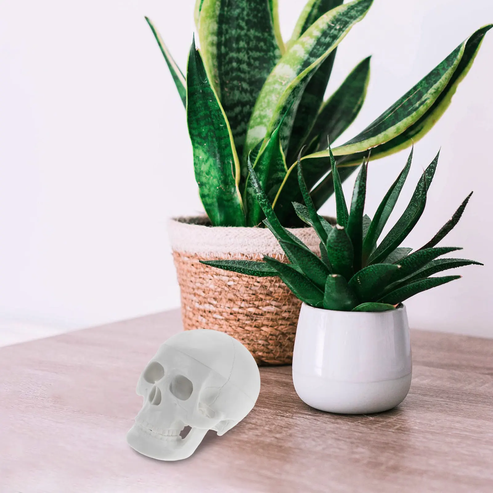 Mini Human Skull Anatomical Detailed Teaching Tool for Artists Halloween Party Skull Display Decoration Anatomy