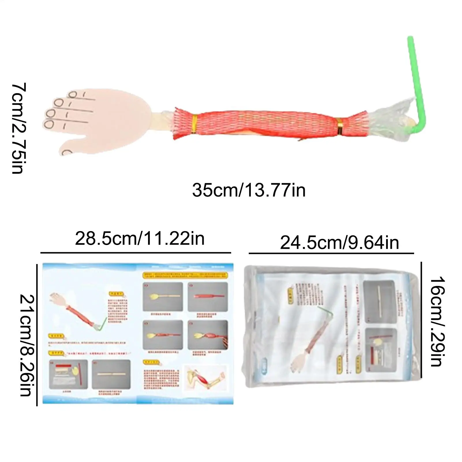 Kit de experimentos biológicos, proyecto científico interactivo, juguete, experimentos científicos, juguetes para niños, aprendizaje de ciencias, juguetes de educación temprana