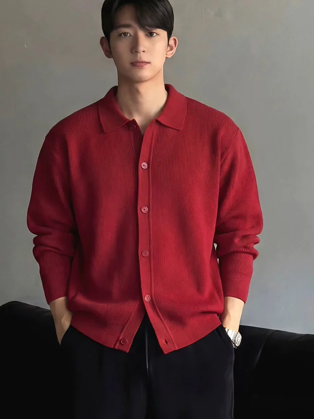 Korean Style Slim Fit Long Sleeve Knitted Cardigan Men's Sweater with Stand Collar Button Jacket Thin Outerwear Core Yarn