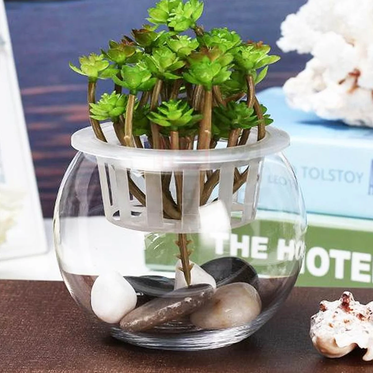 

Round Glass Fish Tank Mini Bottle Underwater Landscape Elegant for Home Garden Craft Projects Ecological Fish Bowl Aquarium