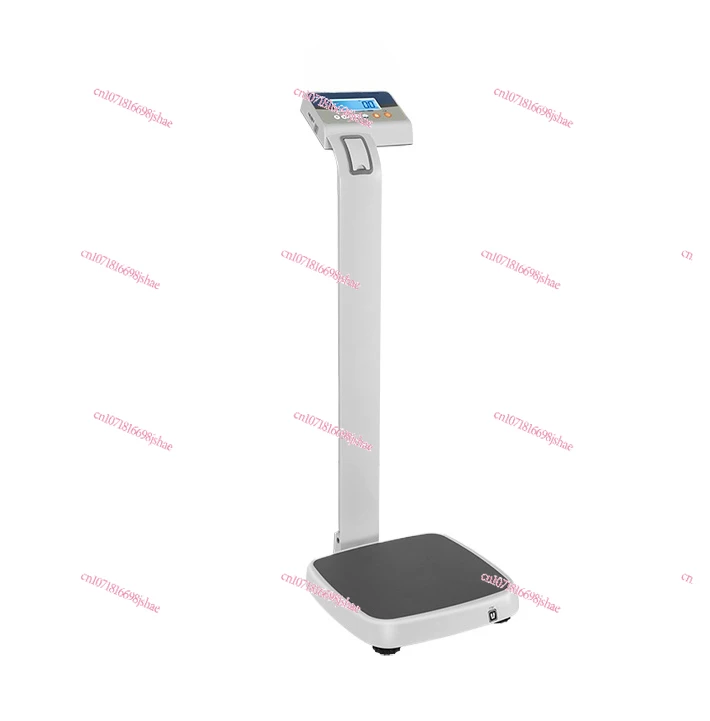 Weight Scale Height Body Fat Scale BMI Gym Physical Examination Intelligent Charging Body Scale