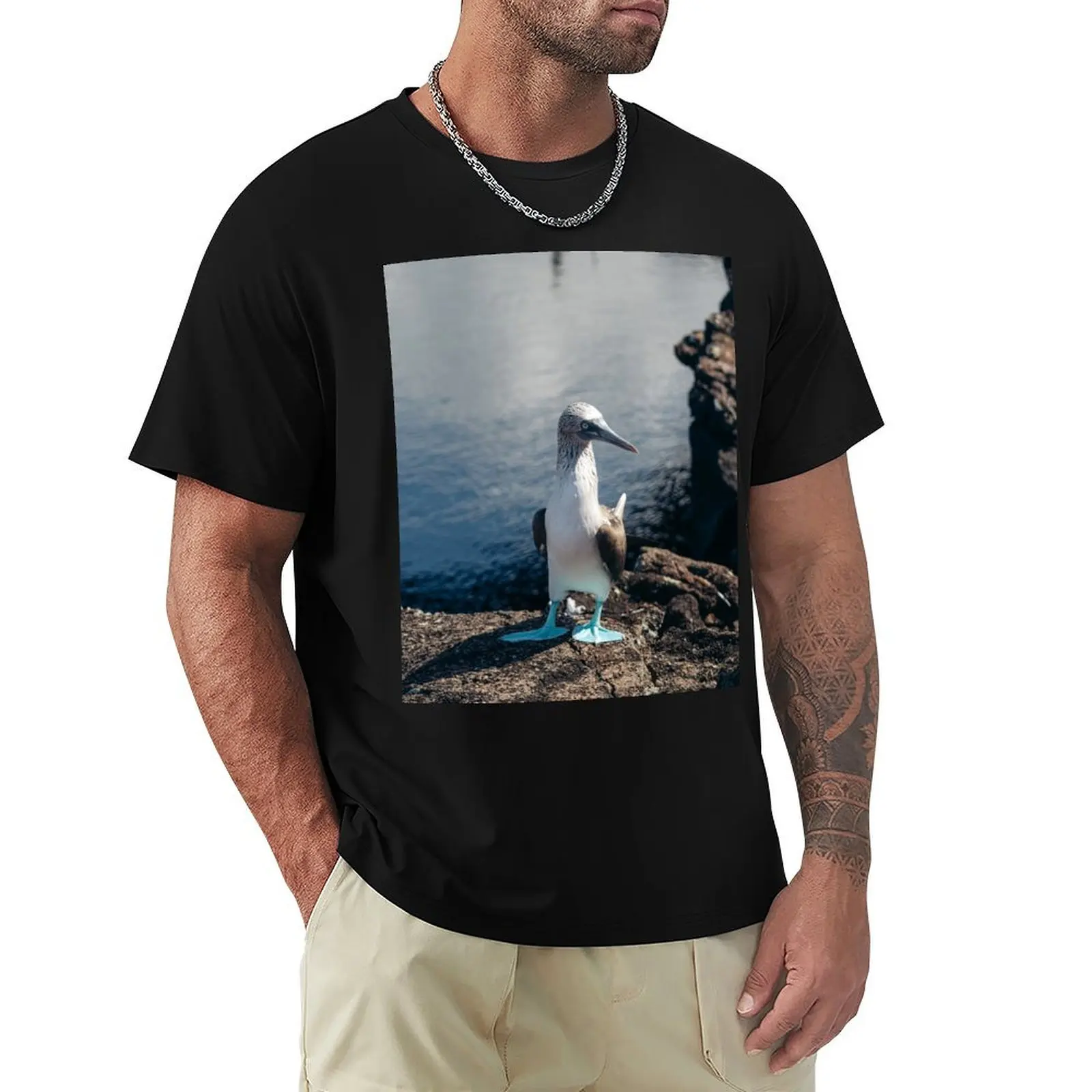 

Blue Footed Booby of Galapagos T-Shirt affliction shirts cheap stuff fruit of the loom mens t shirts