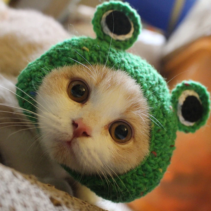 Handmade Knitted Hat for Pets, Cute Frog Shape Headgear, Fun Photography Props