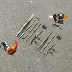 Professional large and small chicken castration machine, stainless steel castration knife, rooster pickling tool