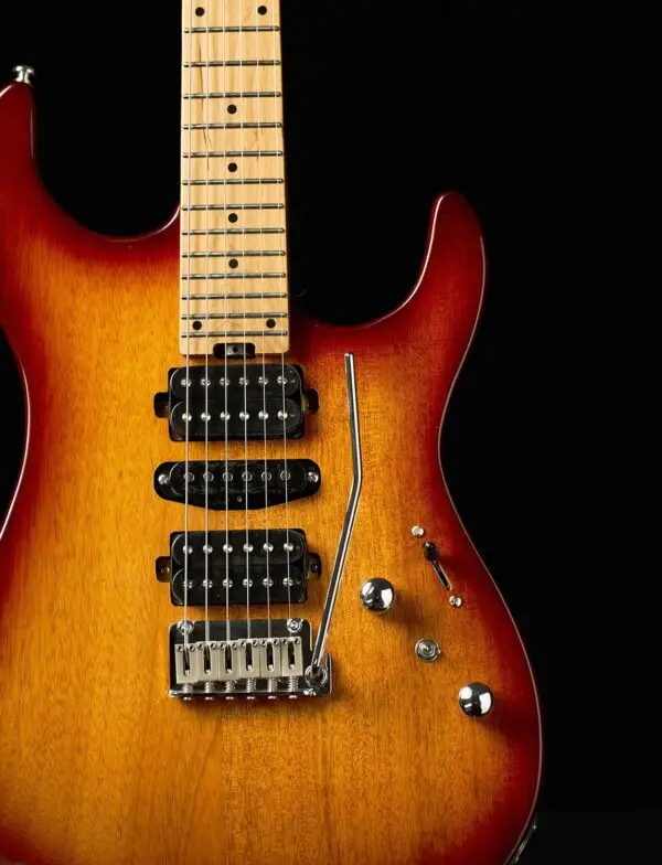 Censtar Electric Guitars with Roasted Mahogany Body and Maple Neck,Bone Nut,Coil Split Humbuckers Pickups,24 Frets