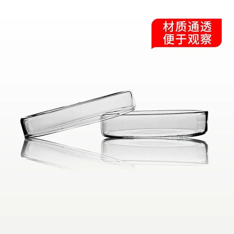 5PCS  Glass culture dish/transparent/bacterial culture/high borosilicate 120mm