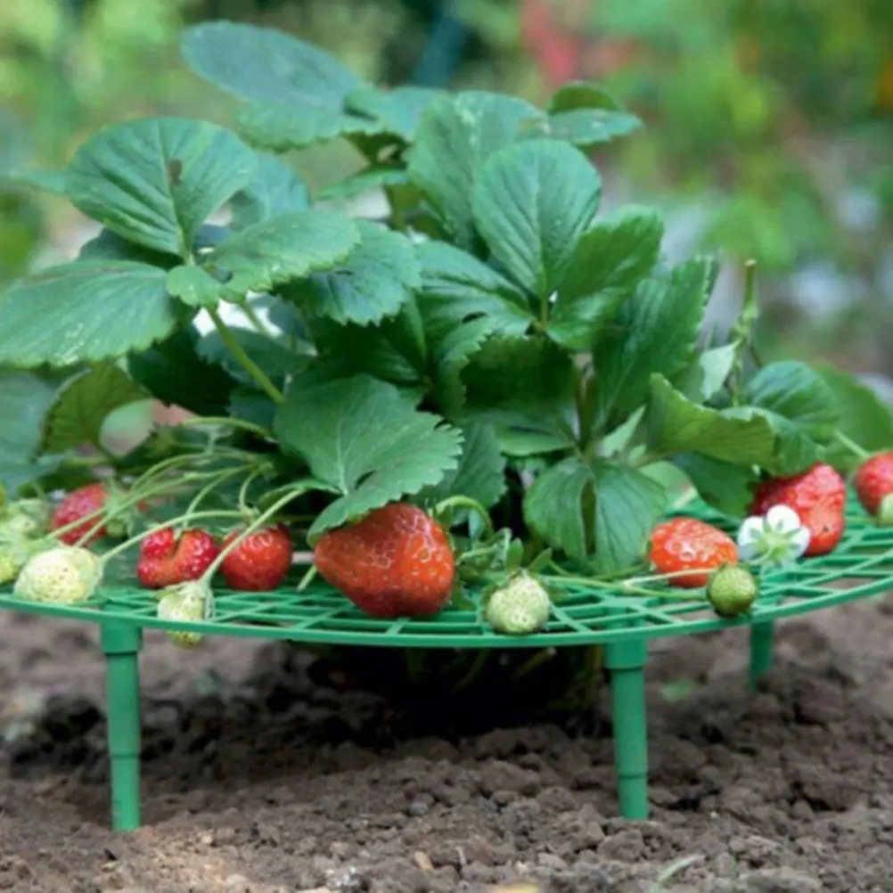 

5pcs Strawberry Plant Support Bracket Premium Plastic Garden Trellis For Climbing Plants Berry Growth Rack Fruit Stand Plant