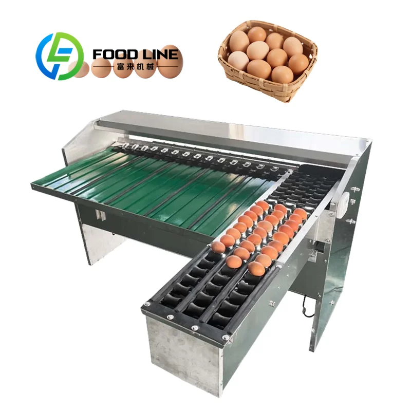 Egg Grading Machine Dual Purpose Sorting Unit Cooperates With Automatic Egg Grader Separating Table Eggs Fertile Hatching Eggs