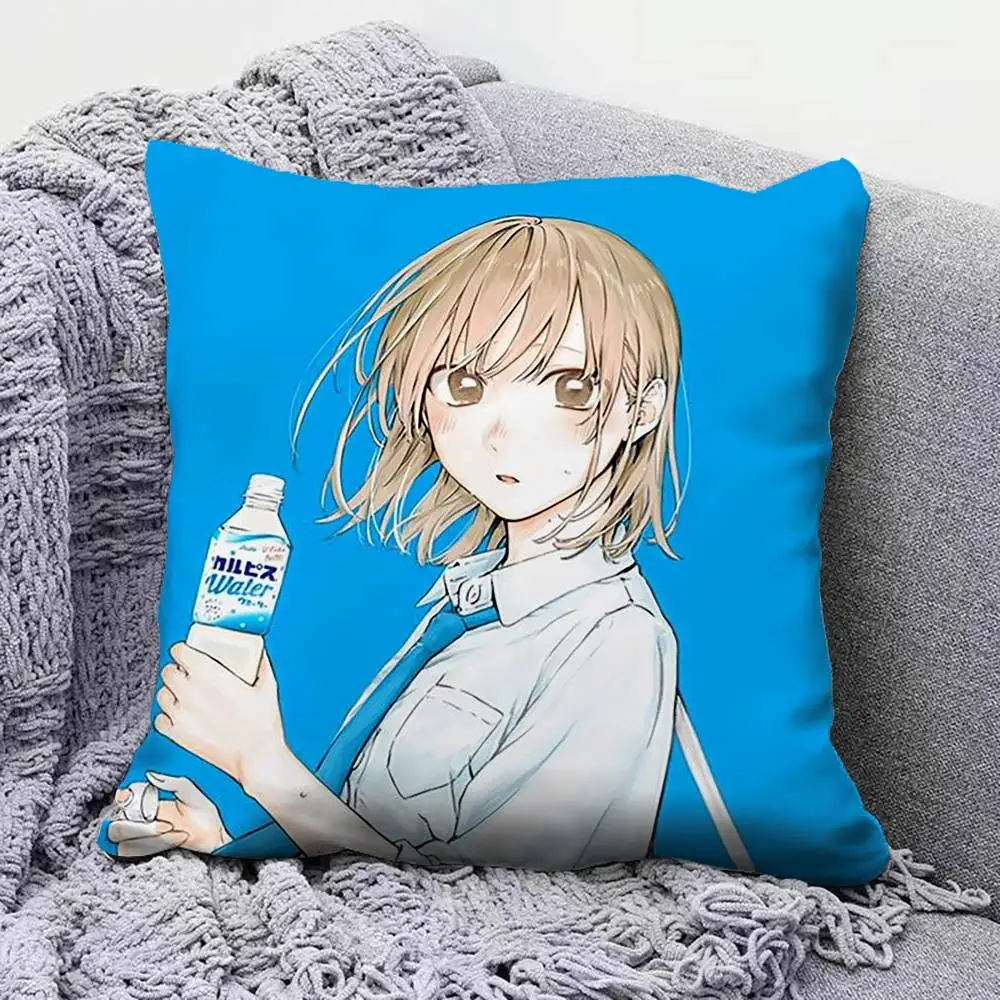 Blue Box Chinatsu and Hina   Pillow Covers, Home Sofa Cushion Covers and Aecorative Custom