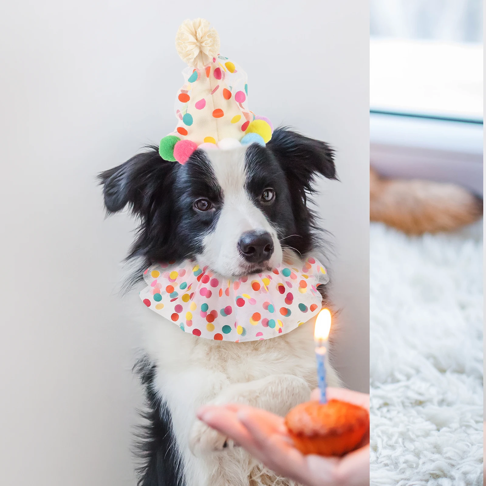 

Pet Colorful Scarf Dog Birthday Costume Decor Hat Small Dogs Festive Collar Xmas Party Supplies Puppy Neck Ring Bib