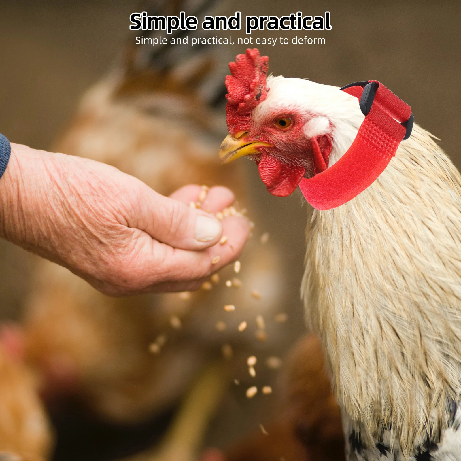 

2 Pcs Anti-hook Rooster Neck Strap Neckband Belt Chicken Replacing Belts Anti-crowing Collars Adjustable Poultry