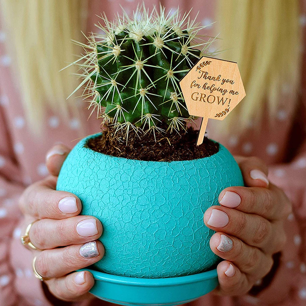 

20Pcs Succulent Labels Modern Wooden Plant Markers for Garden Indoor Outdoor Flower Pots Nursery Garden Supplies