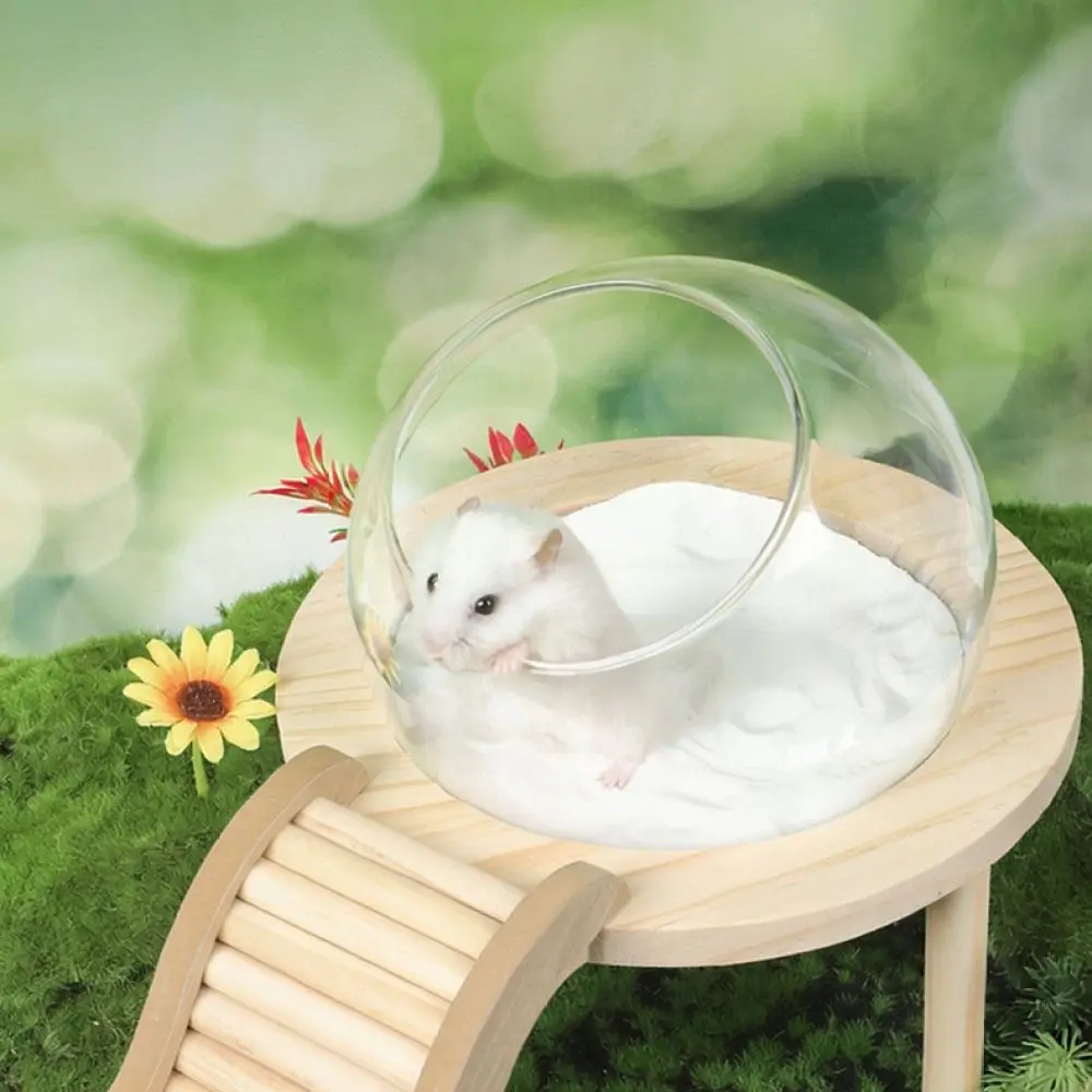 Small Animal Sand Bathing House Enclosed Design Hamster Toilet Basin Anti Splash Pet Cleaning Box For Rodent Care Supplies
