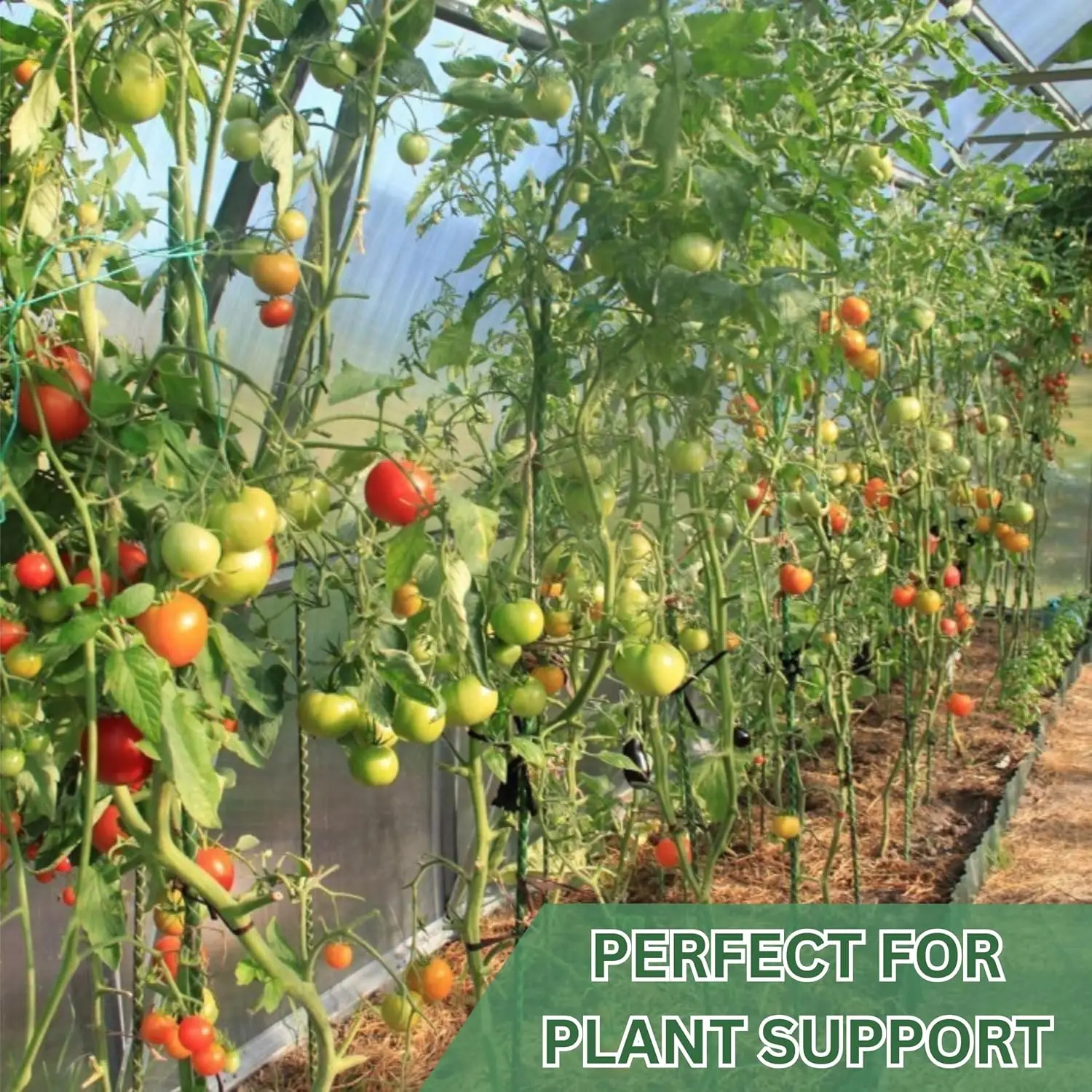 5 Ft Fiberglass Eco Friendly Garden Stakes 20 Pack (Height/Quantity Options) – Durable, Lightweight, Tomato, Tree, Strawberry, P