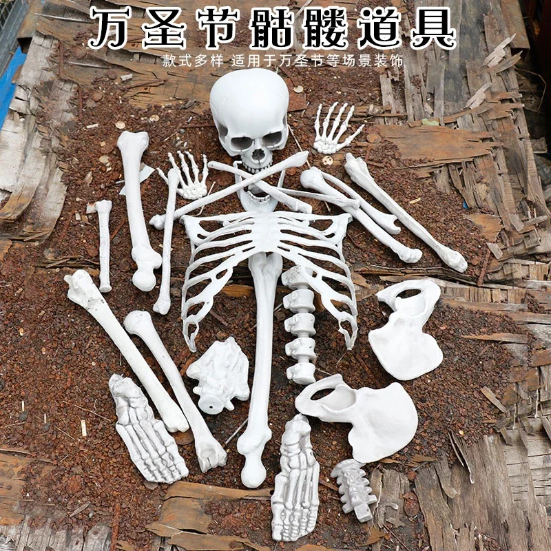 Halloween Skull Skeleton Loose Bone Dummy Horror Props Ornament