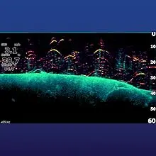 DownScan Imaging