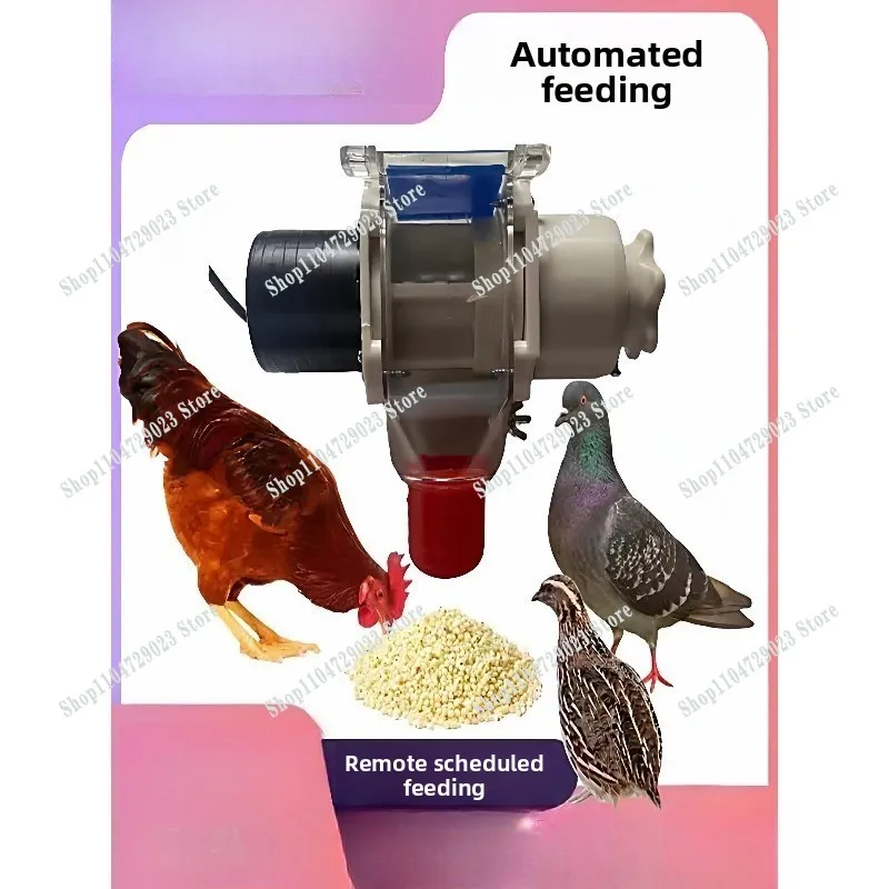 Automatic feeder, regular chicken feeding machine, automatic feeder, sub-household chicken feeding tool