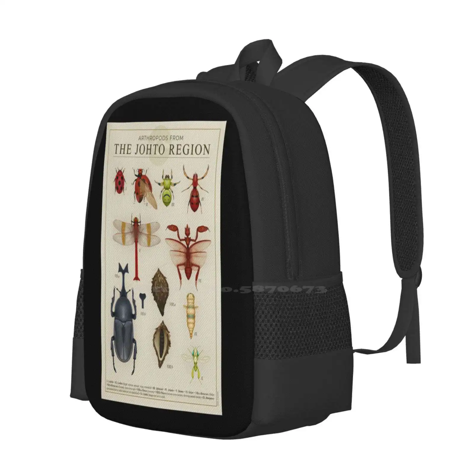 Arthropods From Johto Hot Sale Schoolbag Backpack Fashion Bags Insetcs Science Entomology