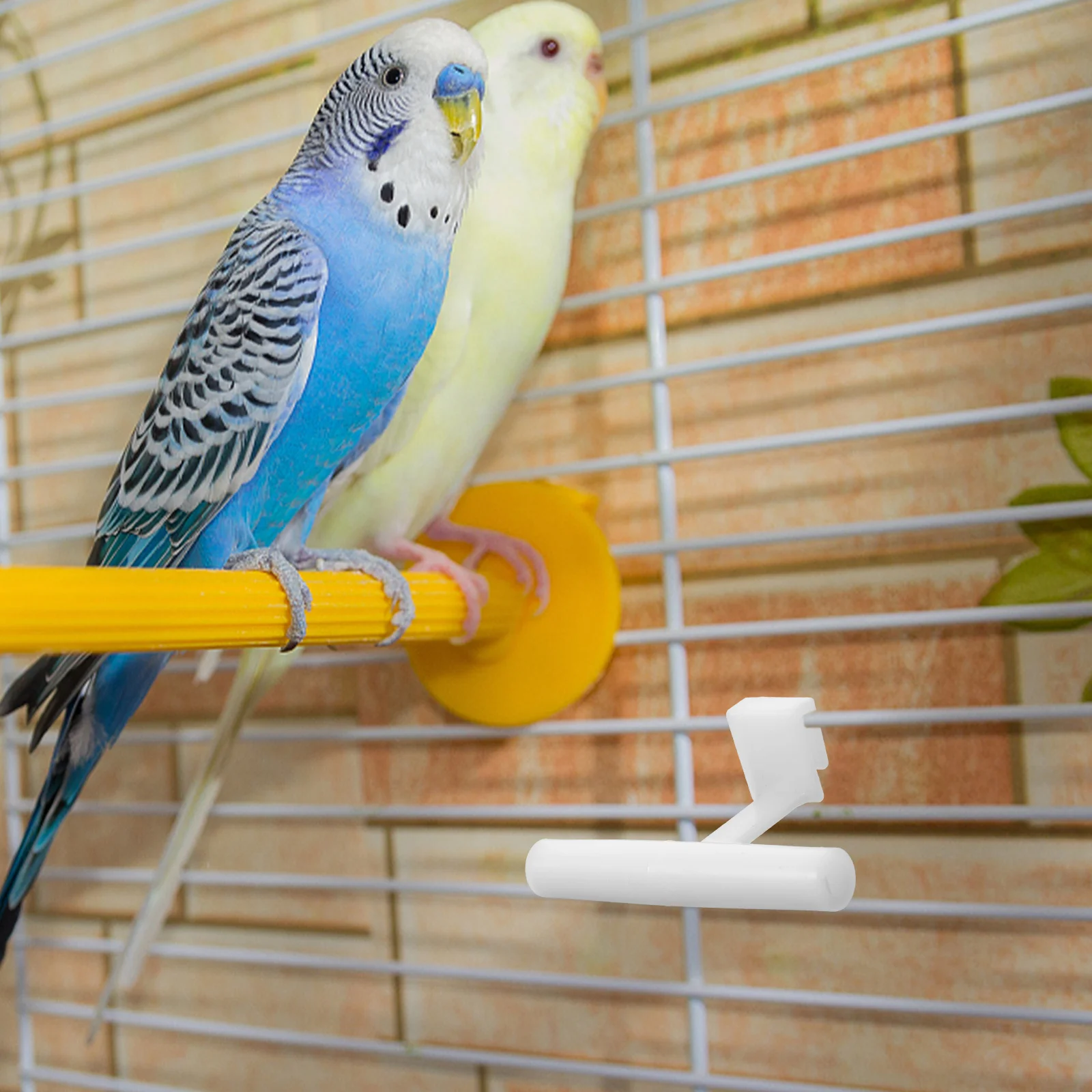 

5Pcs Bird Feeder Perch Pole Easy to Use Durable Acrylic Material Stylish Design Various Bird Types Birds Feeding Bowl Perch